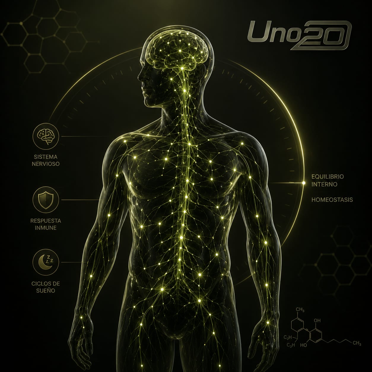 Beneficios del CBD en el organismo — UNO20