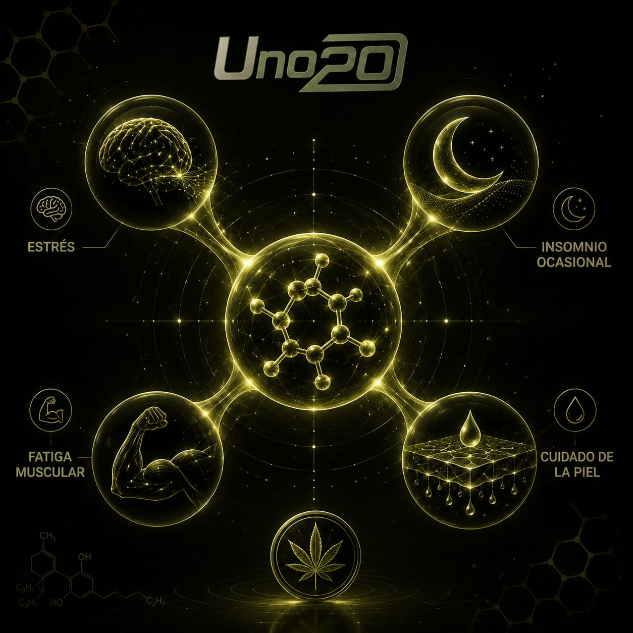 Usos comunes del CBD — UNO20