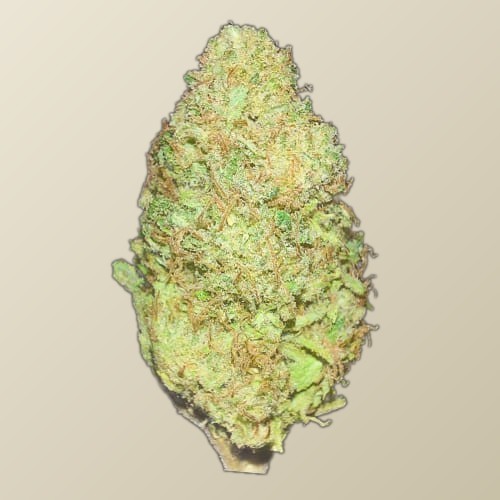 Flor de CBD 100% natural